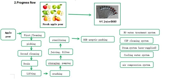 Automatic Fruit Production Line 500 - 1000L/H 80000 KG Easy Operate