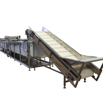 380V Apple Processing System Profesjonalna linia o wysokiej wydajności do przetwarzania owoców