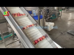 Linia do produkcji skoncentrowanej pulpy owocowej o dużej wydajności
