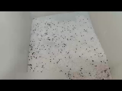mini sorter kolorów